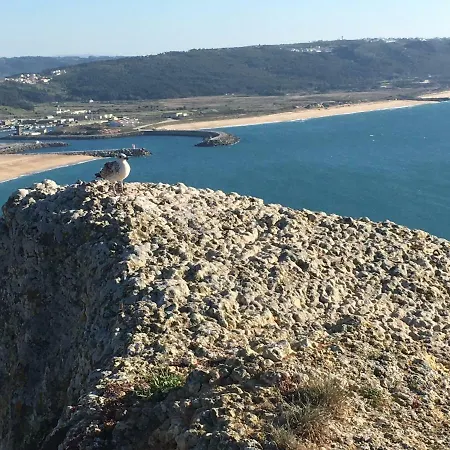 Apartment Sitio Ocean Views Nazaré