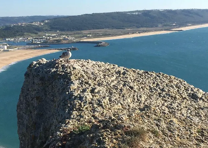 Apartament Sitio Ocean Views Nazaré